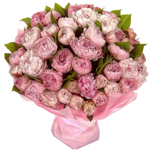 flowersvip 17