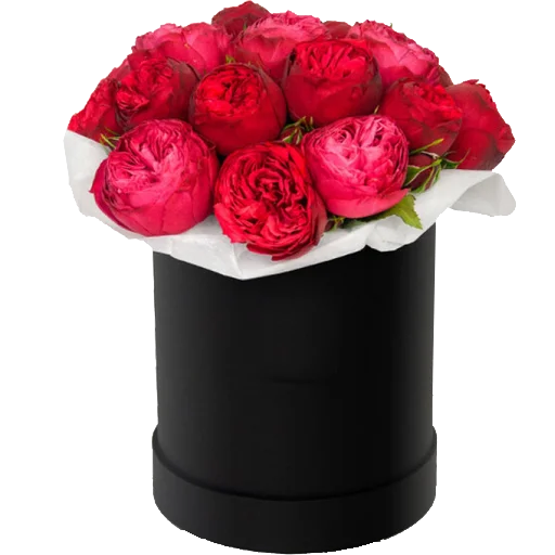 flowersvip 22