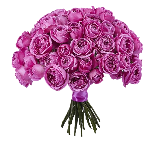 flowersvip 35