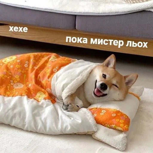 fluffyhehe 11