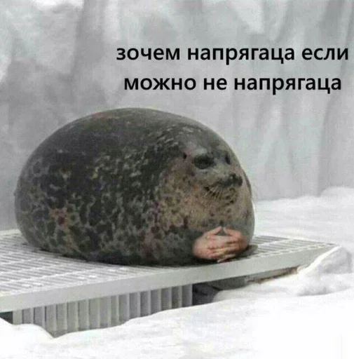katistinaher 10