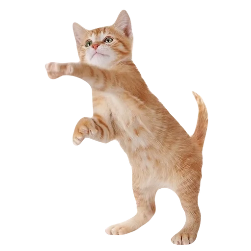 kitttttya_by_fStikBot 13