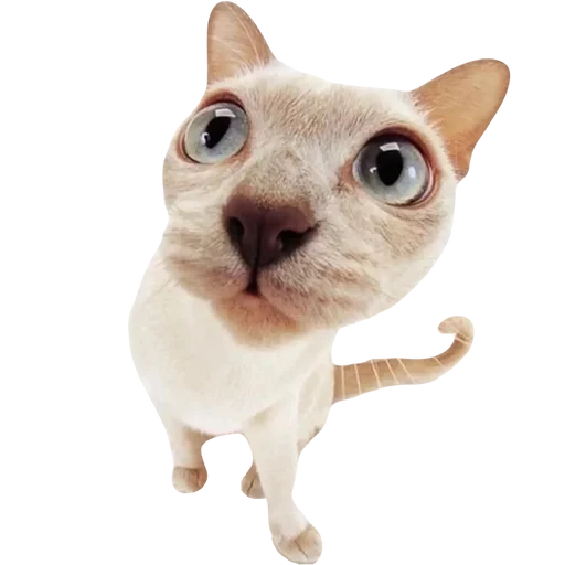 kitttttya_by_fStikBot 14