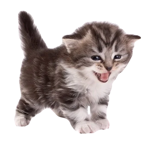 kitttttya_by_fStikBot 16