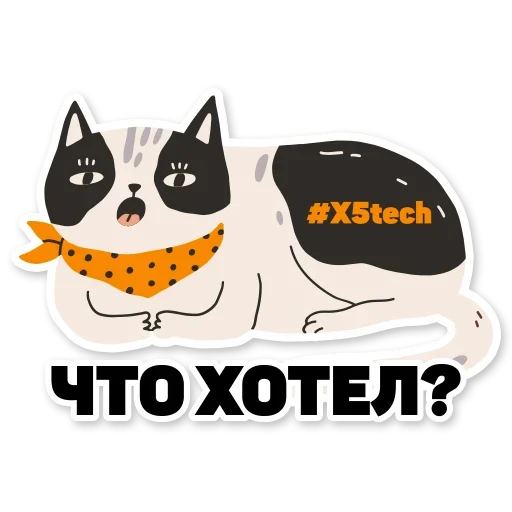 kotikaytishnikpacksss 9