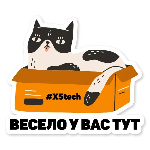 kotikaytishnikpacksss 11