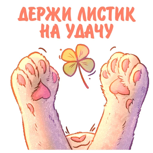 kotiki_i_frazochki 11