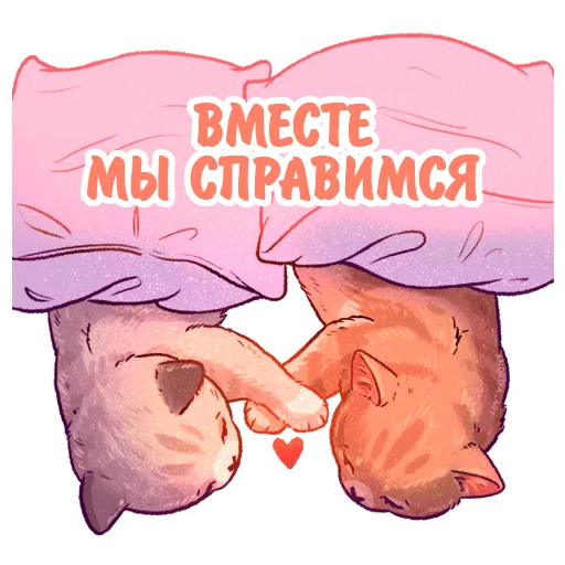 kotiki_i_frazochki 13
