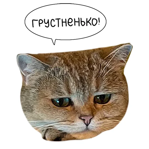 lk_real 8