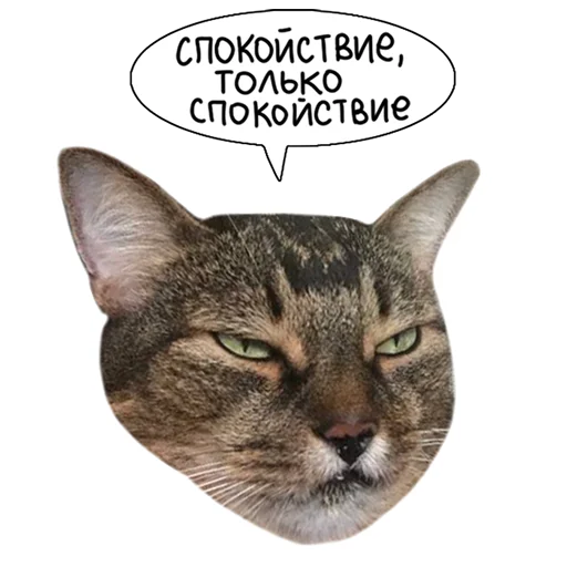 lk_real 13