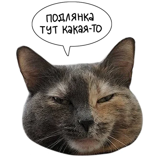 lk_real 14
