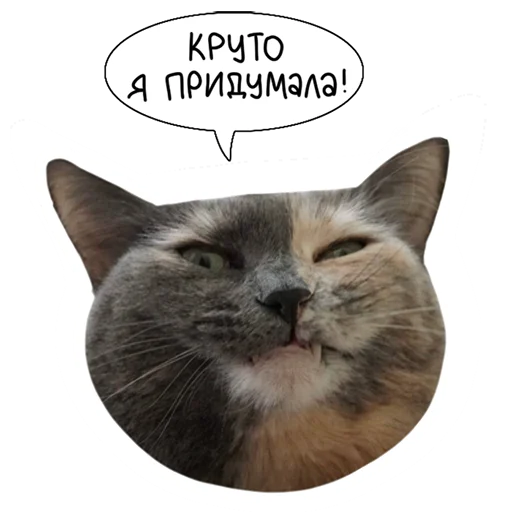 lk_real 16