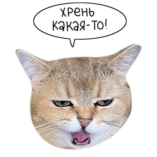 lk_real 18