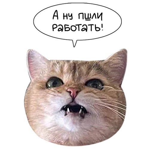 lk_real 22