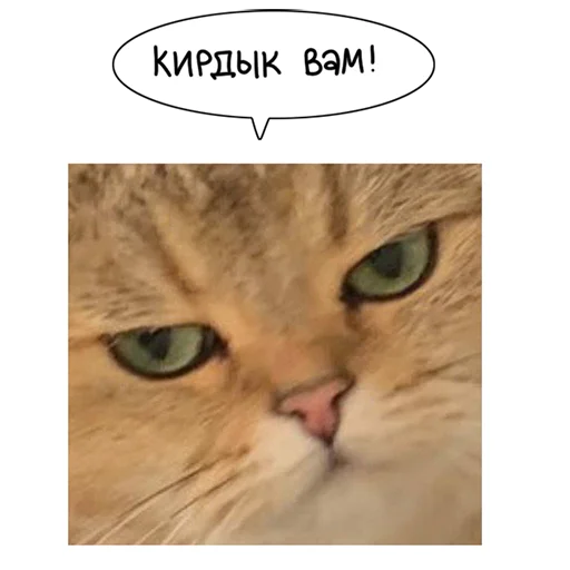 lk_real 23
