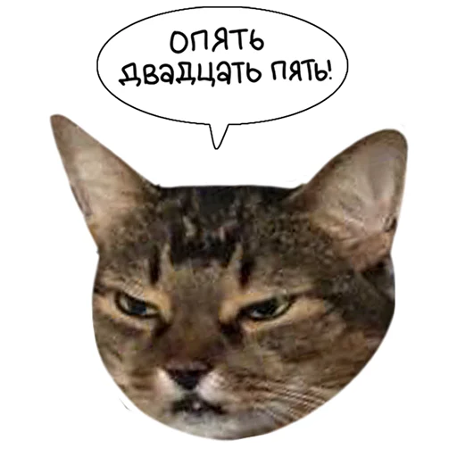 lk_real 25
