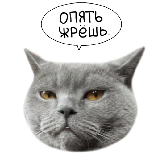 lk_real 26