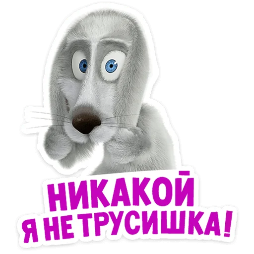 mashaandthebear12months 14