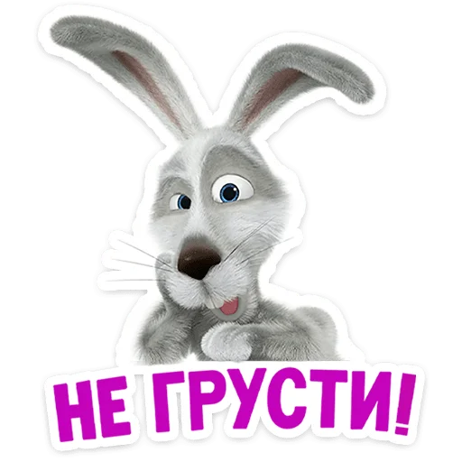 mashaandthebear12months 24