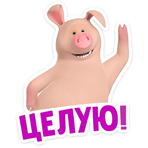 mashaandthebear12months 27