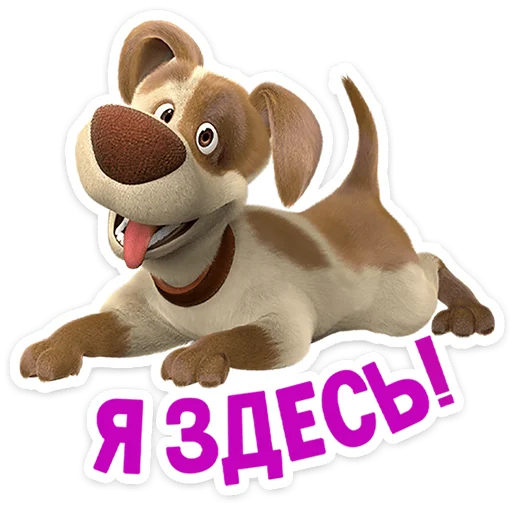 mashaandthebear12months 29