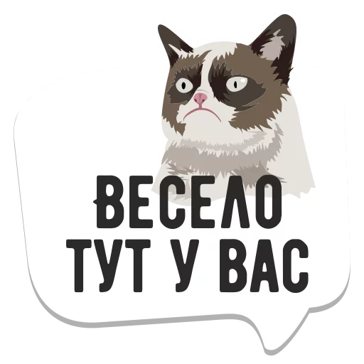 memes_runet 34