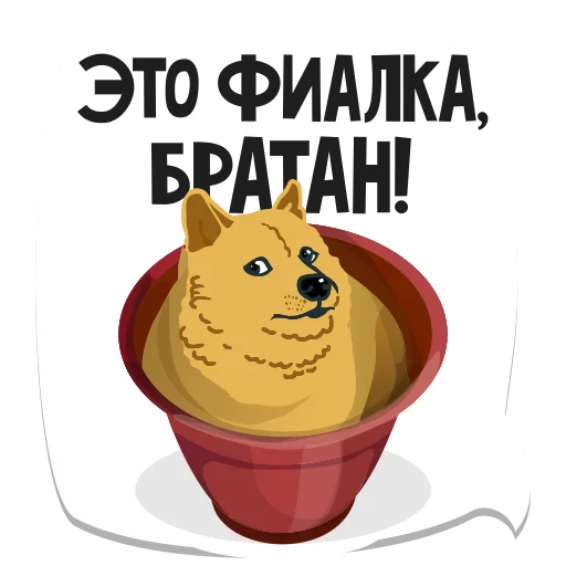 memes_runet 35
