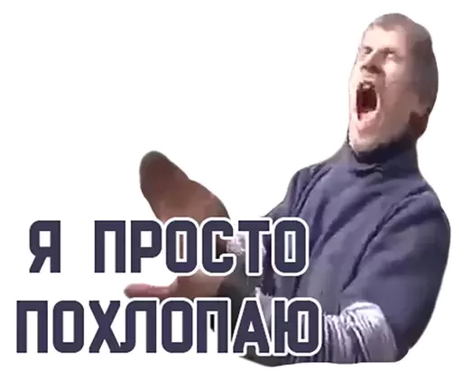 memesvol 7