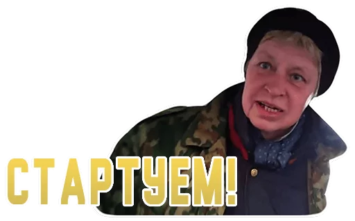 memesvol 11