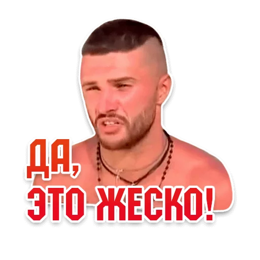 memesvol 15