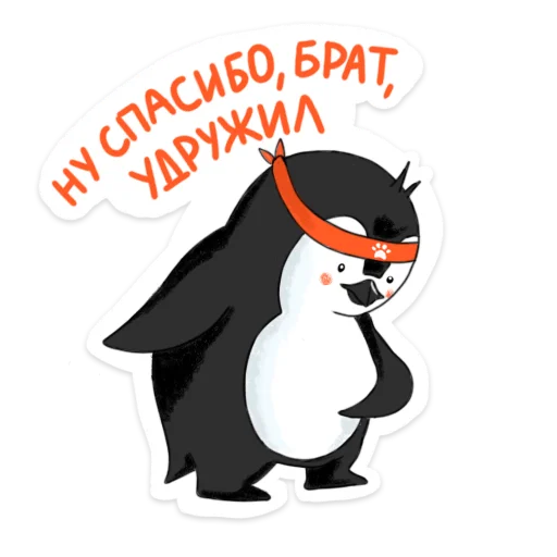 penguin_dobra 4