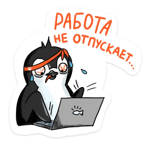 penguin_dobra 13