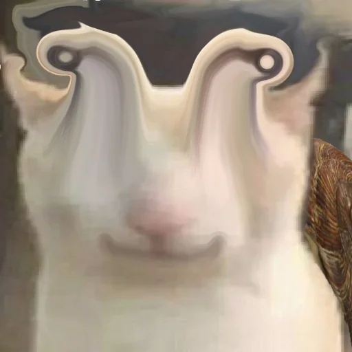 prostokotnykotek69 10