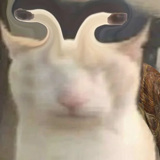 prostokotnykotek69 11