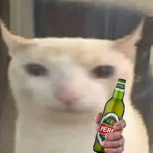 prostokotnykotek69 13