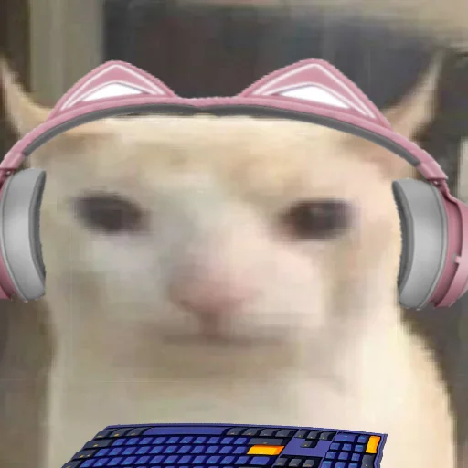 prostokotnykotek69 18