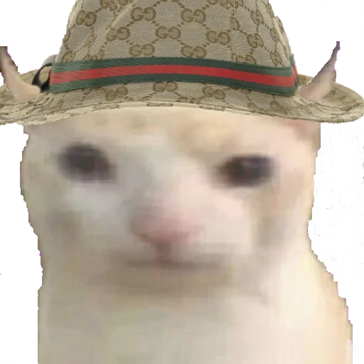 prostokotnykotek69 20