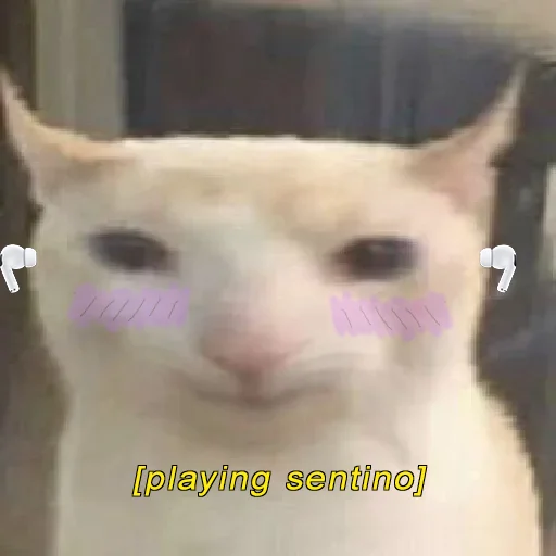 prostokotnykotek69 21