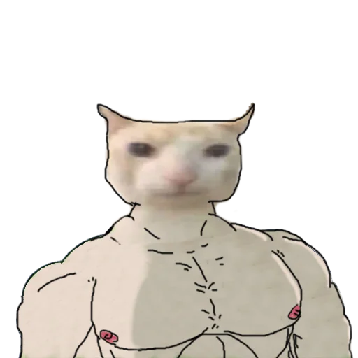 prostokotnykotek69 27