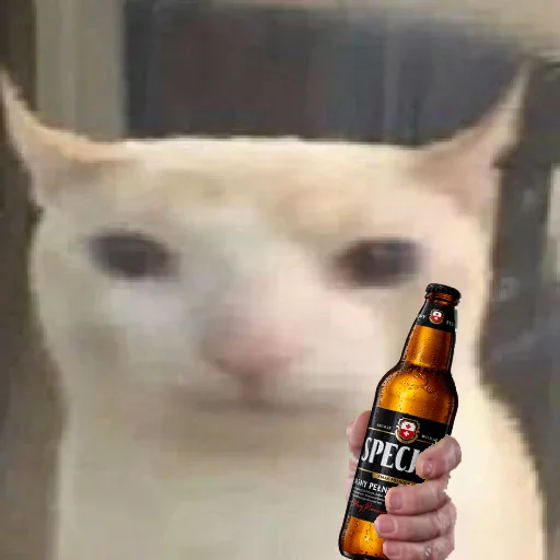 prostokotnykotek69 29