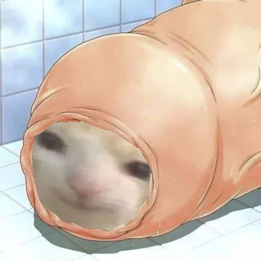 prostokotnykotek69 35