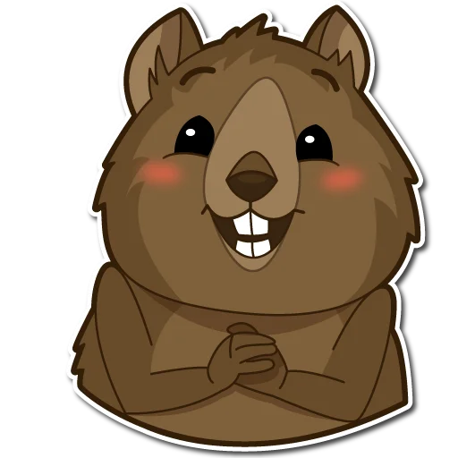 q_quokka 2