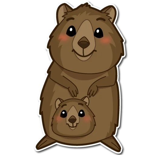 q_quokka 16