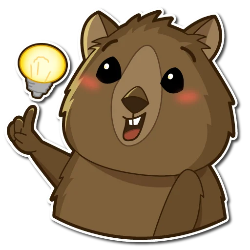q_quokka 18