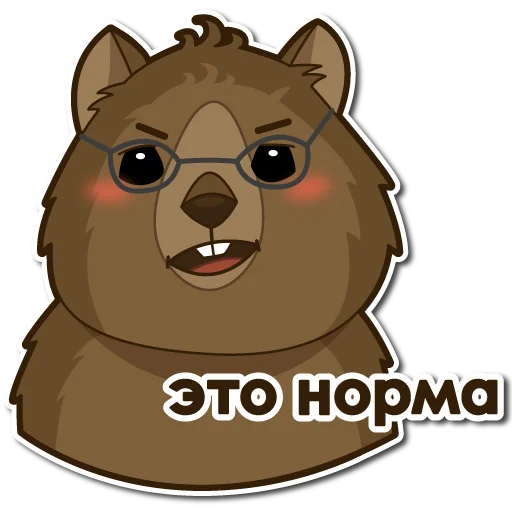 q_quokka 21