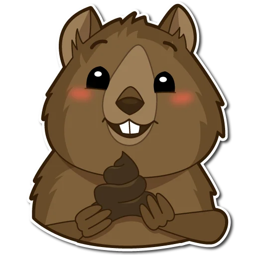 q_quokka 25
