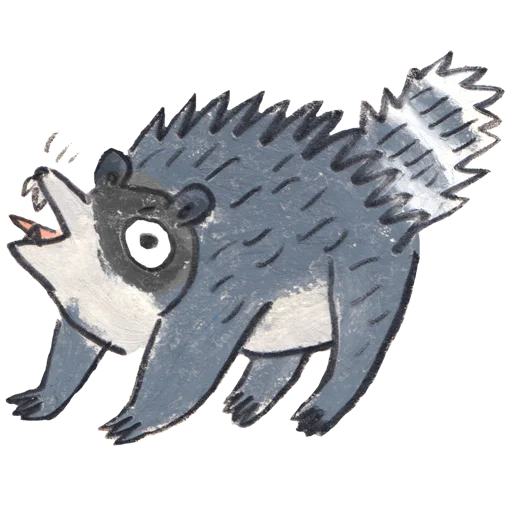 raccoon_osierforest 7