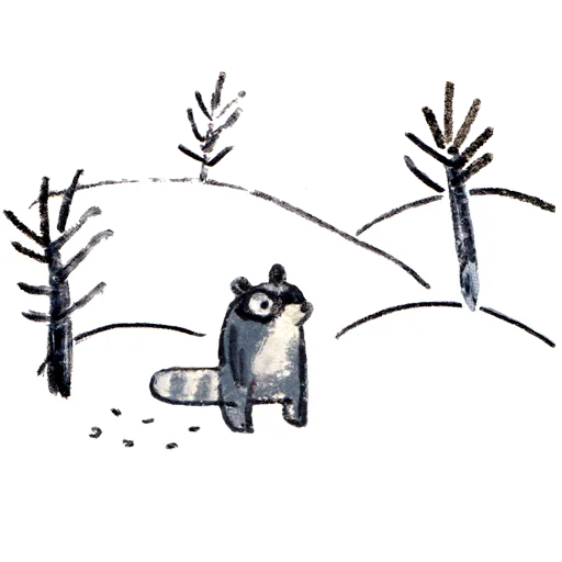 raccoon_osierforest 15