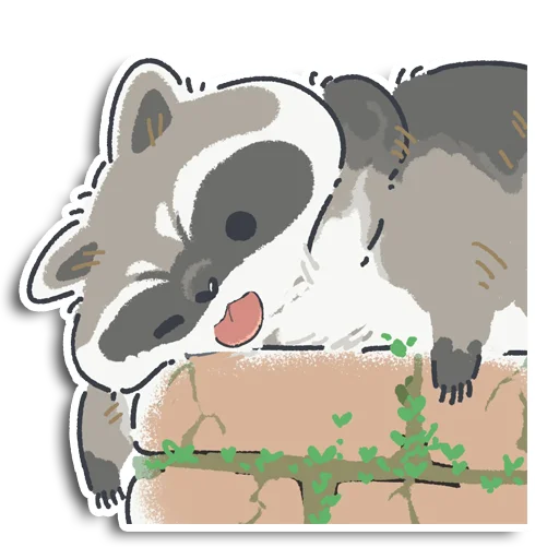 raccoon_yen 15