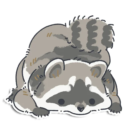 raccoon_yen 25